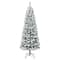 6ft. Unlit Flocked Acacia Medium Artificial Christmas Tree